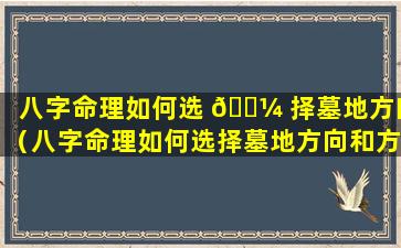 八字命理如何选 🌼 择墓地方向（八字命理如何选择墓地方向和方位）